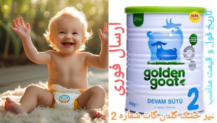 Golden goat powder milk 2