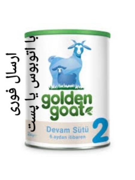 Golden goat powder milk 2
